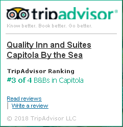 guest reviews